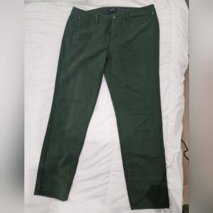 Curve Appeal Minimalist Jegging Green Pants Size 12/31